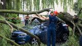 Feuerwehrleute räumen Äste eines umgestürzten Baumes von einem geparkten Auto