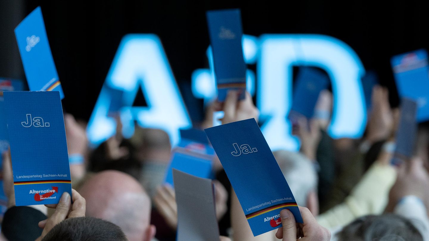 Die AfD liegt laut "Deutschlandtrend" vor der SPD