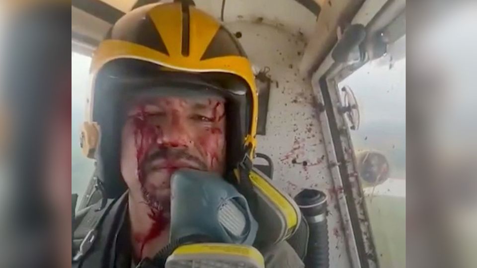 Vogel kracht ins Cockpit – Pilot behält die Nerven Vogel kracht ins Cockpit – Pilot behält die Nerven