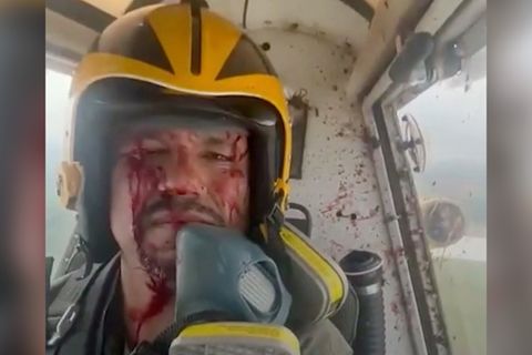 Vogel kracht ins Cockpit – Pilot behält die Nerven