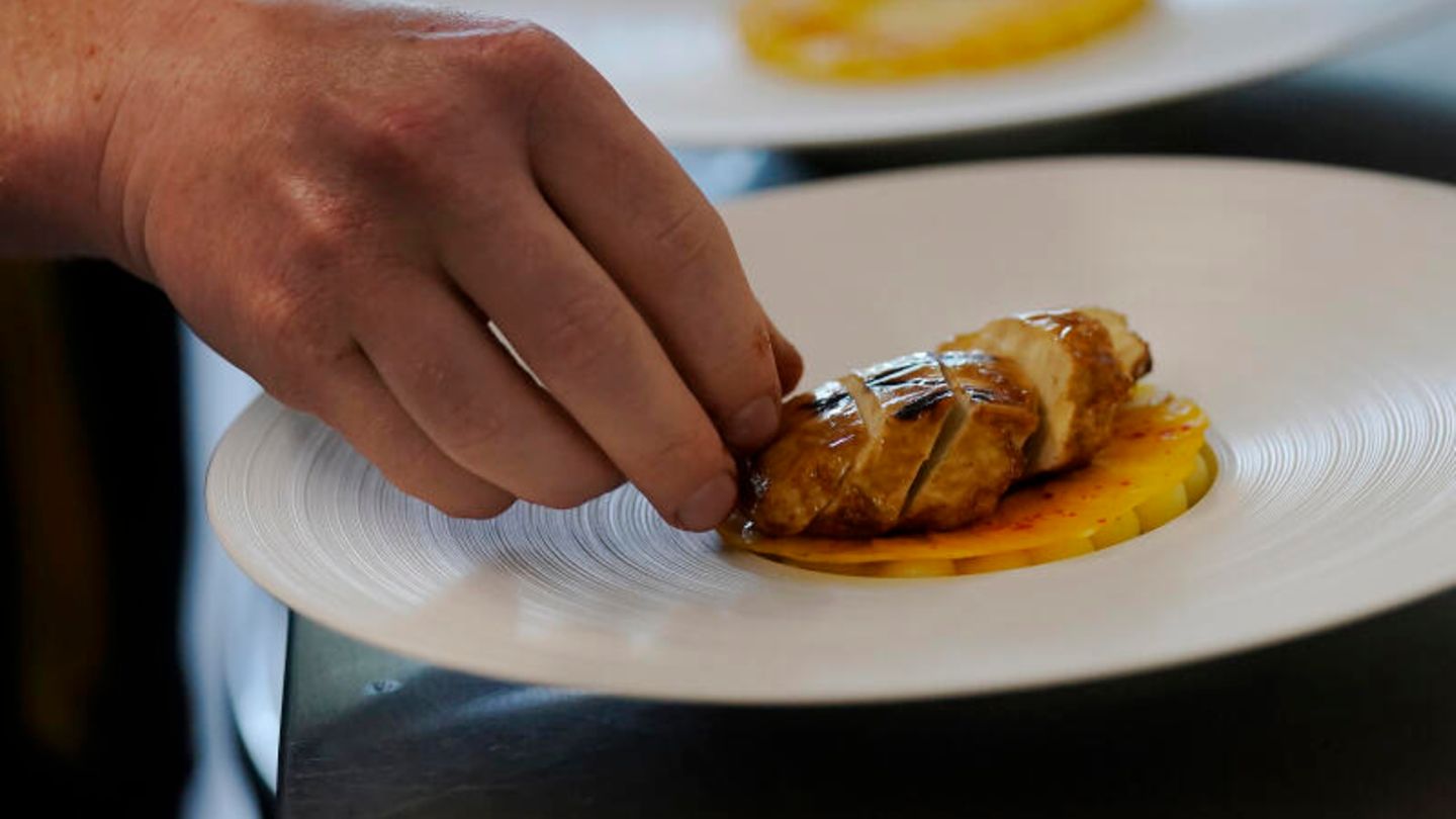 Gezüchtetes Laborfleisch