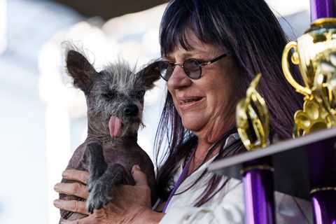 Besitzerin von Scooter ist Linda Elmquist aus Tucson im Bundesstaat Arizona unweit der mexikanischen Grenze. Nebst Pokal und Titel bekommen Scooter und sein Frauchen auch ein Preisgeld in Höhe von 1500 Dollar (rund 1380 Euro).