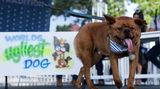 Grazil auf der Bühne: hier zeigt sich Prince beim Wettbewerb.