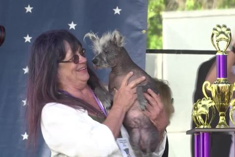 Video: Spezielle Hunde und ihre Halter: "Diese Jungs haben so viel Liebe zu geben"