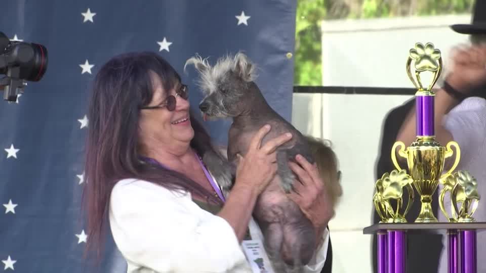 Video: Spezielle Hunde und ihre Halter: "Diese Jungs haben so viel Liebe zu geben"