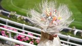 Der ausgefallene Hut dieser Ascot-Besucherin dürfte ganz vorne mit dabei sein im Rennen um die auffälligste Kopfbedeckung. 