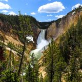 Parkhüter in dem für seine Geysire, Grizzlybären und Bisonherden berühmten Yellowstone-Nationalpark mahnen Urlauber an, von Wildtieren Abstand zu halten. Dennoch verursacht ein Tourist aus Hawaii im Mai den Tod eines Bison-Kälbchens. Er hat das Neugeborene an einem Fluss aufgelesen und dabei angefasst. Das Tier wird von seiner Herde verstoßen und muss eingeschläfert werden. Die Parkverwaltung brummt dem Mann eine Strafe von über 1000 Dollar (910 Euro) auf. Für solch ignorante Besucher gibt es in der Region bereits eine Wortschöpfung: "Tourons" (aus "Touristen" und "Morons/Idioten"). Auf der Instagram-Seite "Tourons of Yellowstone" sind Hunderte Fotos und Videos zu sehen, in denen Urlauber-Fehlverhalten bloßgestellt wird.