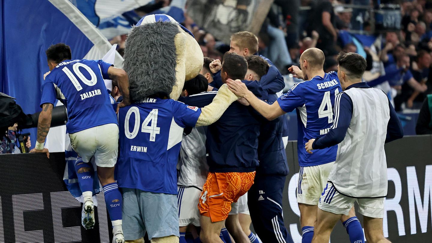 Peta sieht die Veltins-Arena Spieler beim veganen Angebot an der Tabellenspitze.