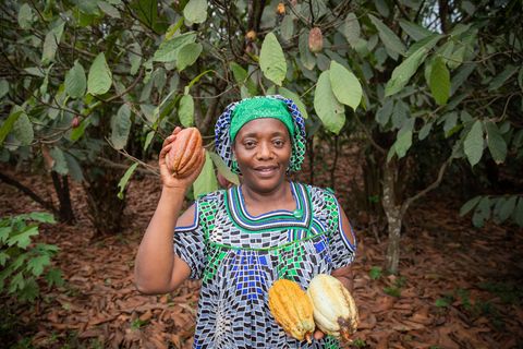 Eine Farmerin mit einer Kakao-Frucht. Das neue Gesetz verlangt von deutschen Unternehmen, ihre Lieferketten bis hin zu den Rohstoffen in den Ursprungsländern zu kontrollieren