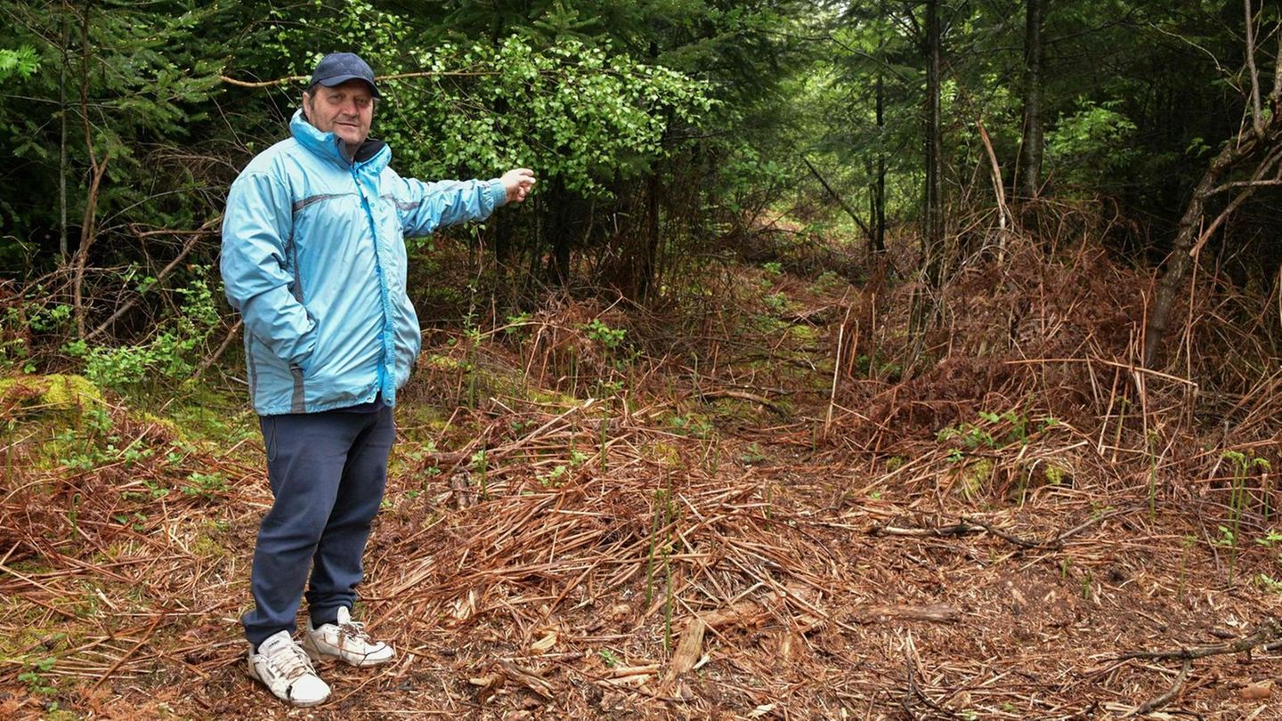 Der Landwirt Andre Nirelli zeigt auf die Stelle im Wald, wo nach den Leichen der Wehrmachtssoldaten gesucht werden soll