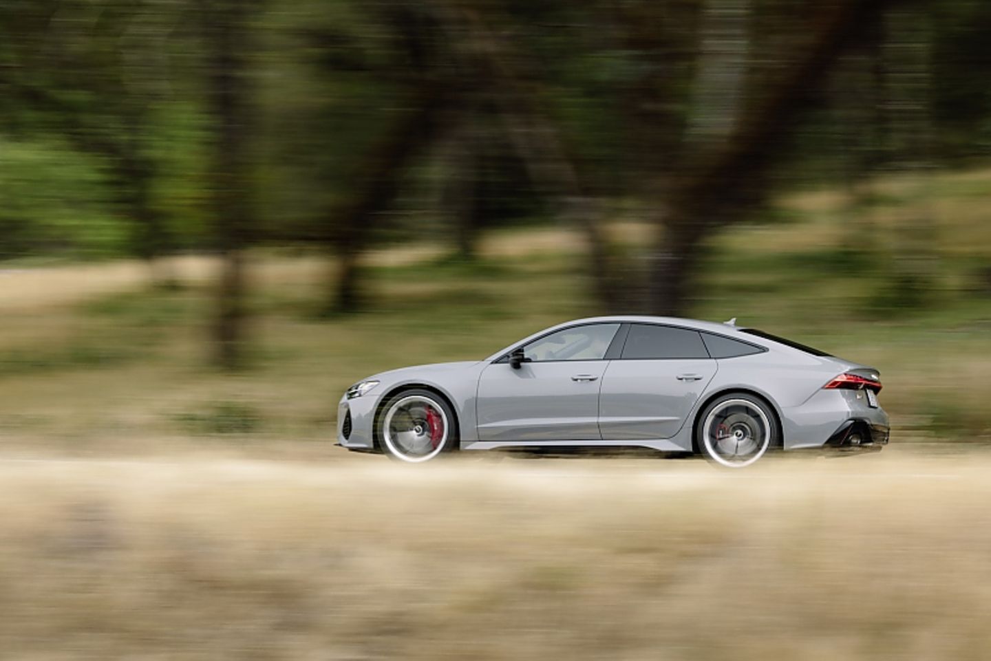 Audi RS7 Performance