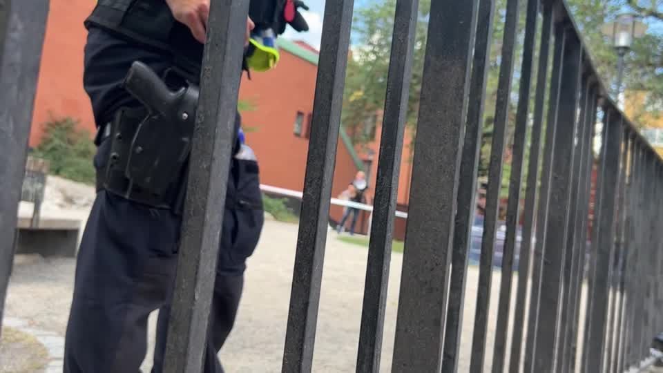 Video: Koranverbrennung in Schweden