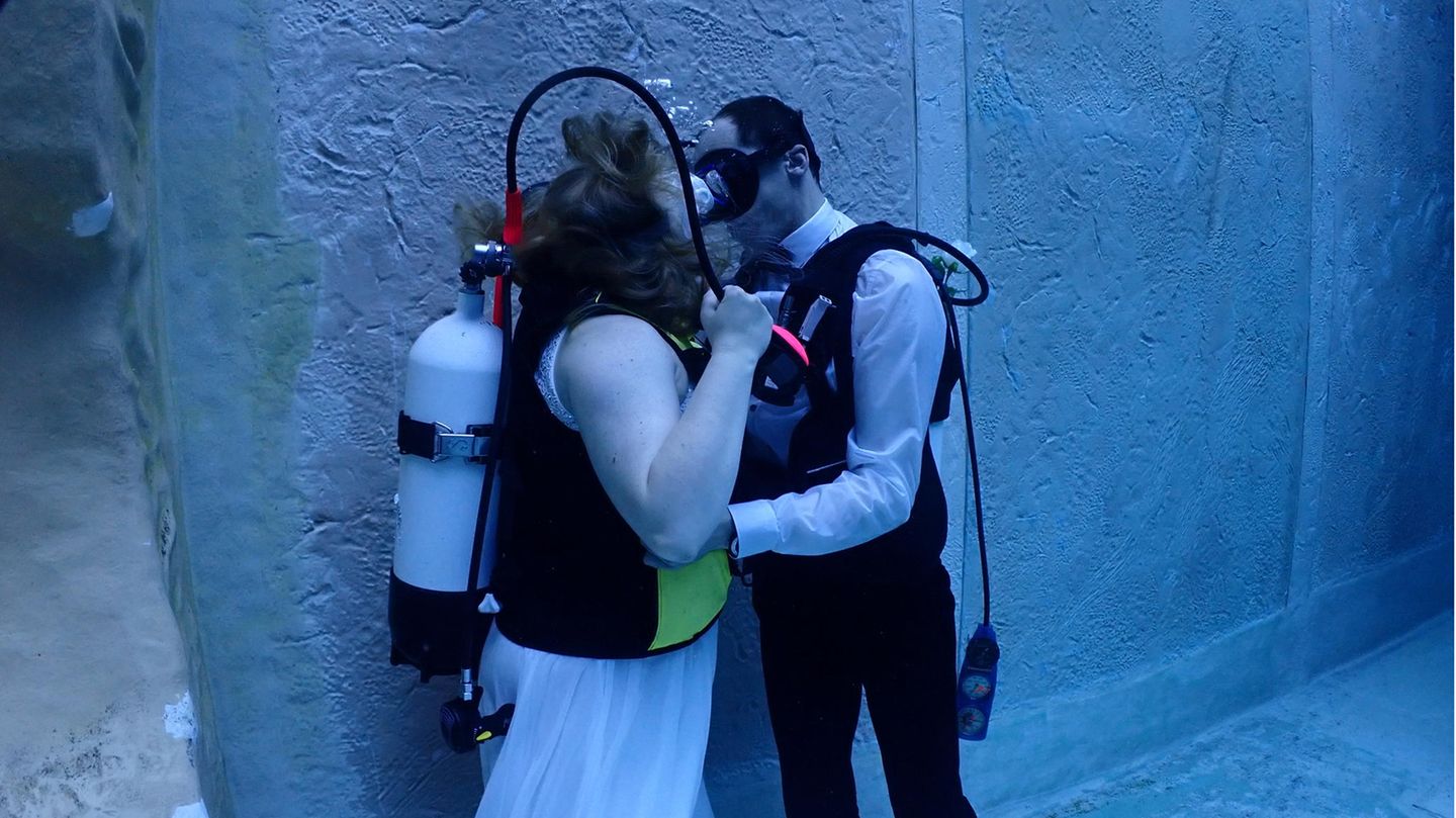 Wer für die Hochzeit unter Wasser nicht so weit reisen möchte, der kann auch im Erlebnisbad "Monte Mare" im nordrhein-westfälischen Rheinbach eine standesamtliche Trauung vollziehen. Im zehn Meter tiefen Indoor-Tauchbecken können sich Brautpaare das Ja-Wort geben. Voraussetzung ist ein Tauchschein und ein gültiges Tauchtauglichkeitsattest. Neben der Grundgebühr für die Prüfung der Ehefähigkeit und der Gebühr für das Ausstellen der Heiratsurkunde fällt eine Gebühr von 55 Euro für die Eheschließung außerhalb des Standesamtes an. "Monte Mare" erhebt zudem eine Pauschale von 100 Euro sowie Eintrittspreise ab 49,90 Euro für einen Taucher und ab 16 Euro für Nichttaucher. Für einen Sektempfang, Blumenschmuck, einen Fotografen oder einen Schnuppertauchkurs für die Brauteltern fallen zusätzliche Kosten an. Eine Live-Übertragung für die Hochzeitsgäste oberhalb der Wasseroberfläche ist möglich. An Wochenenden werden Hochzeiten ausschließlich im Sommer angeboten.