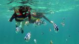 Wer fast am anderen Ende der Welt unter Wasser seine Trauung abhalten möchte, der kann dies auf Bali tun. Auf der beliebten indonesischen Ferieninsel in der Javasee treffen Taucher auf eine artenreiche Unterwasserwelt, in der man neben farbenfrohen Korallenriffen Schildkröten, exotische Fische sowie Riffhaie sehen kann. Unter anderem bietet das Tauchzentrum "Diving-Indo" Unterwasser-Hochzeiten an. (Das Bild zeigt zwei Taucher vor der Küste von Bali)