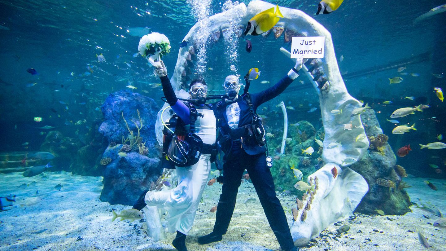 Zwar nicht in freier Natur, dafür aber in einem riesigen Aquarium: Der Erlebnispark "Bear Grylls Adventure" im englischen Birmingham bietet die Hochzeit in einem Wasserbecken an, das fast 1000 Tierarten beherbergt – darunter Schwarzspitzen-Riffhaie, Rochen und Hunderte von tropischen Fischen. Für das Tauchen im 800.000 Liter großen Aquarium ist eine medizinische Erklärung erforderlich.