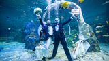 Zwar nicht in freier Natur, dafür aber in einem riesigen Aquarium: Der Erlebnispark "Bear Grylls Adventure" im englischen Birmingham bietet die Hochzeit in einem Wasserbecken an, das fast 1000 Tierarten beherbergt – darunter Schwarzspitzen-Riffhaie, Rochen und Hunderte von tropischen Fischen. Für das Tauchen im 800.000 Liter großen Aquarium ist eine medizinische Erklärung erforderlich.