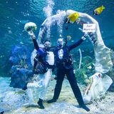 Zwar nicht in freier Natur, dafür aber in einem riesigen Aquarium: Der Erlebnispark "Bear Grylls Adventure" im englischen Birmingham bietet die Hochzeit in einem Wasserbecken an, das fast 1000 Tierarten beherbergt – darunter Schwarzspitzen-Riffhaie, Rochen und Hunderte von tropischen Fischen. Für das Tauchen im 800.000 Liter großen Aquarium ist eine medizinische Erklärung erforderlich.