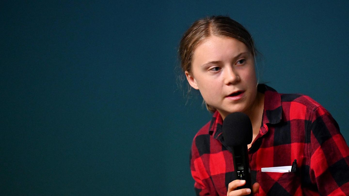 Ucraina-News: Greta Thunberg parla di danni ambientali a Kiev