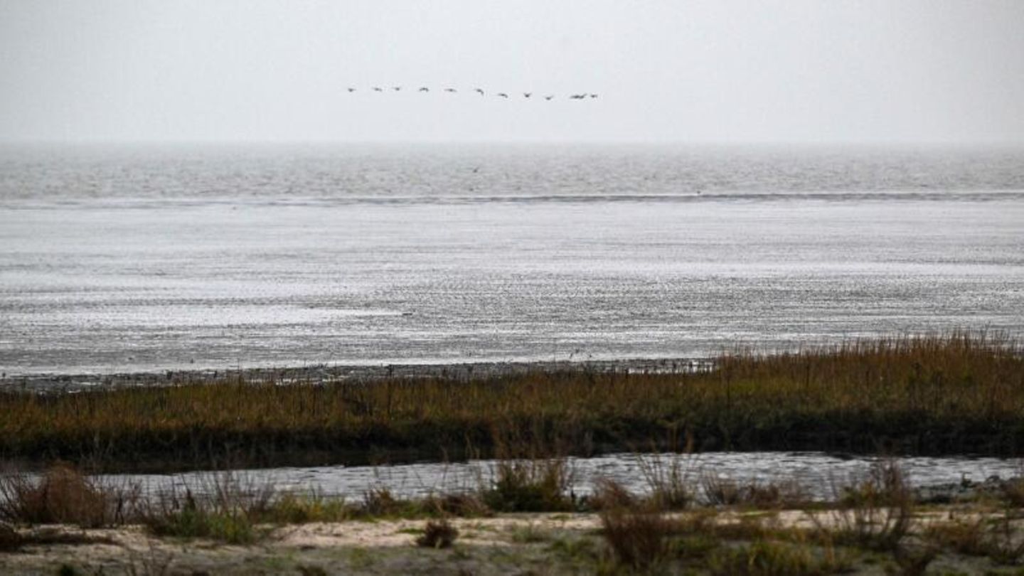 Wattenmeer Cuxhaven Wattenmeer Cuxhaven