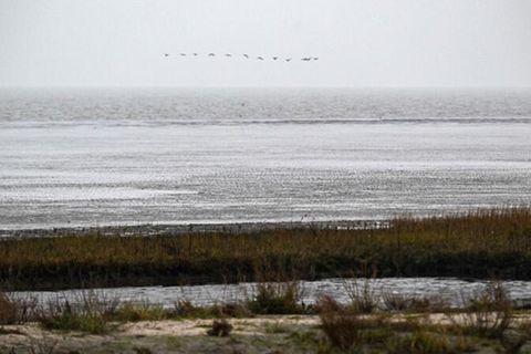Wattenmeer Cuxhaven