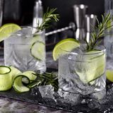 Zwei Gläser Gin Tonic