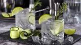 Zwei Gläser Gin Tonic