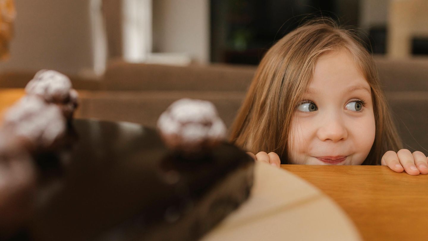Social: Paus: basic child security is coming – “have clarity”