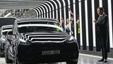 Rang 7: Tesla  Die Tesla-Aktie ist wieder im Aufwind und zurück in den Top-Ten. Börsenwert von Elon Musks Elektroautounternehmen: 830 Milliarden Dollar.
