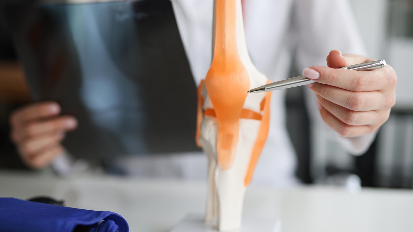 Endoprothetik: Das sind ausgezeichnete regionale Kliniken