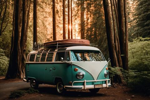 Van im Wald
