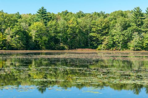Der Waldrand spiegelt sich in einem See im Borderland State Park, Massachussetts, USA