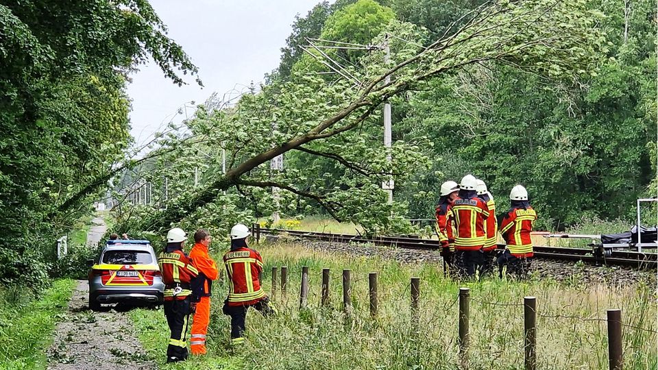 So pustete Poly Norddeutschland durcheinander STERN.de
