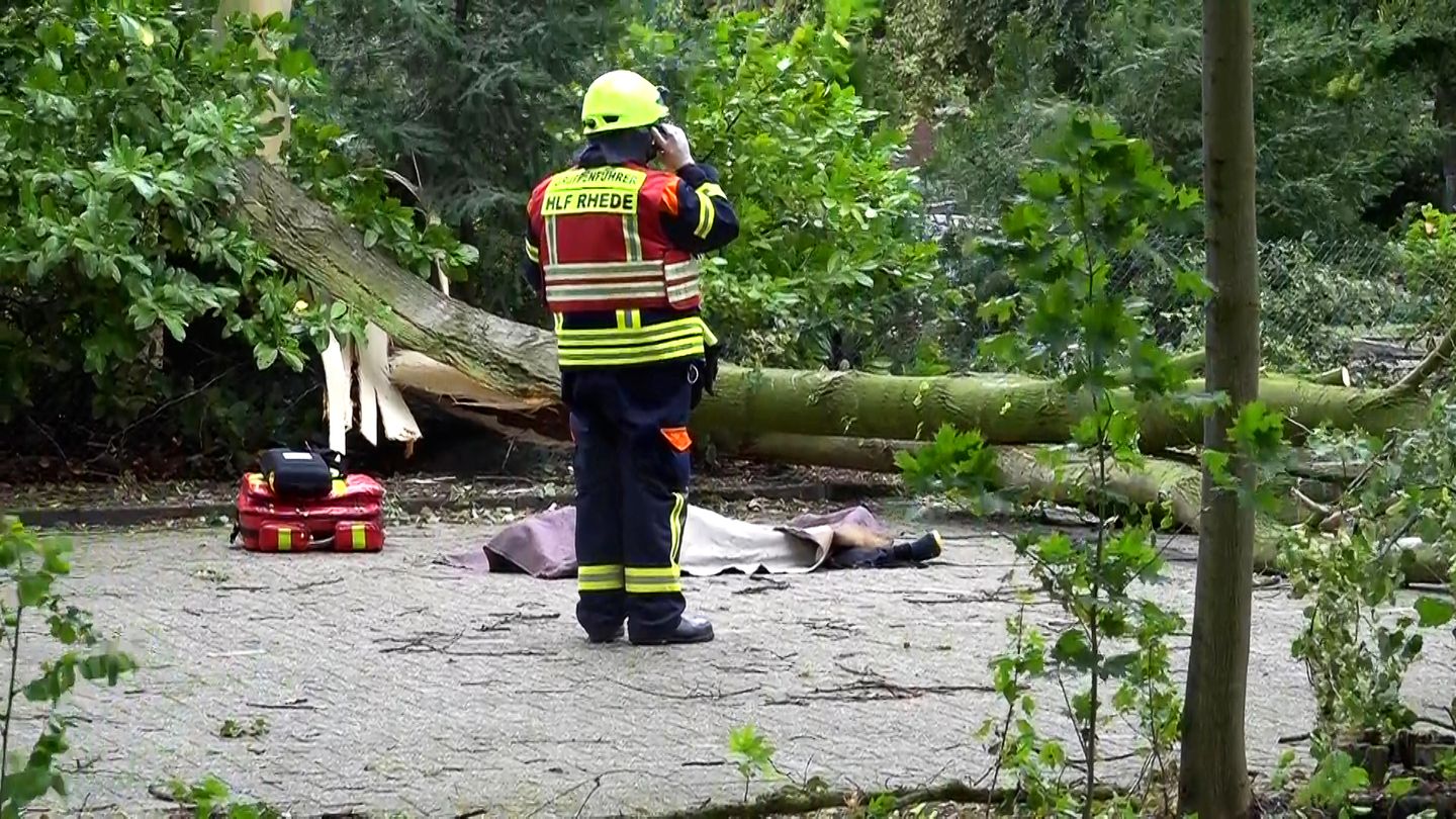 In Rhede in Niedersachsen wird eine ältere Frau von einem Baum erschlagen. Umstürzende Bäume stellen die größte Gefahr bei so einem Orkan dar.