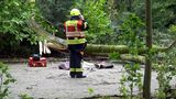 In Rhede in Niedersachsen wird eine ältere Frau von einem Baum erschlagen. Umstürzende Bäume stellen die größte Gefahr bei so einem Orkan dar.