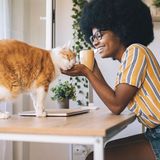 Eine Frau sitzt mit einer Tasse an einem Schreibtisch und krault eine Katze