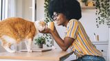 Eine Frau sitzt mit einer Tasse an einem Schreibtisch und krault eine Katze