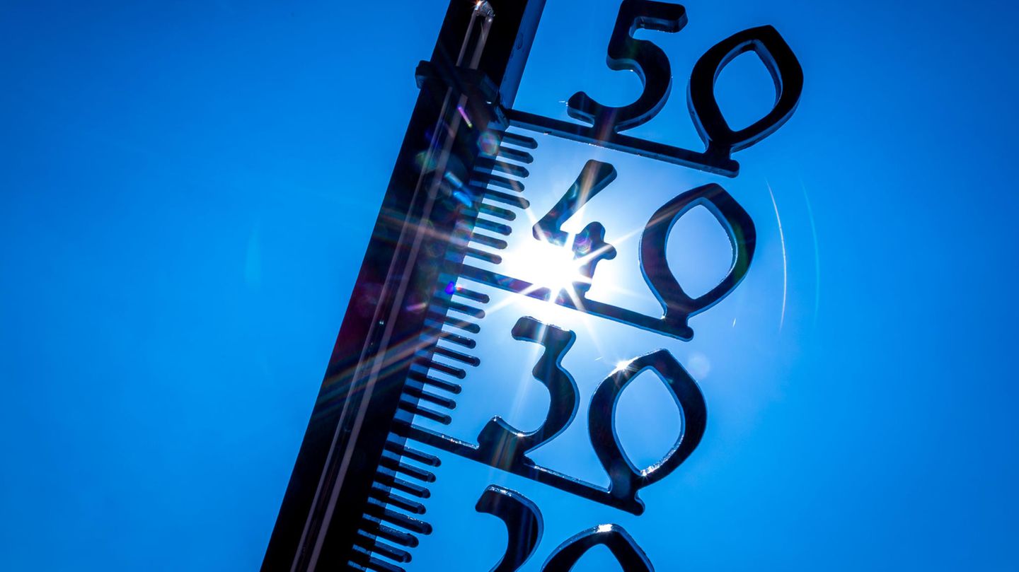 Ein Außenthermometer in einem Kleingarten