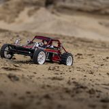 LCC Tamiya Wild One Max