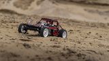 LCC Tamiya Wild One Max