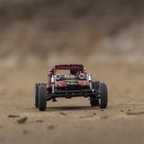 LCC Tamiya Wild One Max