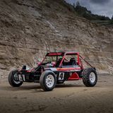 LCC Tamiya Wild One Max