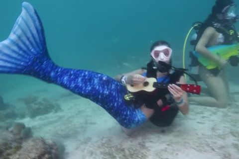 Video: Auftritt von Meerjungfrauen für eine gute Sache