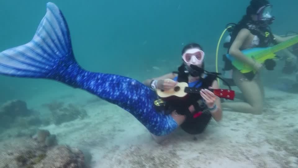 Video: Auftritt von Meerjungfrauen für eine gute Sache