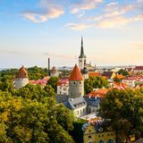 Ein echter Underdog, wenn es um Massentourismus geht. Und dennoch wird Tallinn jedes Jahr von tausenden Touristen besucht. Pro Einwohner kommen in den Sommermonaten bis zu 9,6 Urlauber in die Hauptstadt Estlands, um das historische Zentrum des Landes mit seinen kleinen Gassen und heimeligen Cafés direkt an der Ostsee zu erkunden. Es kann also durchaus mal voller werden beim Städtetrip nach Tallinn. 