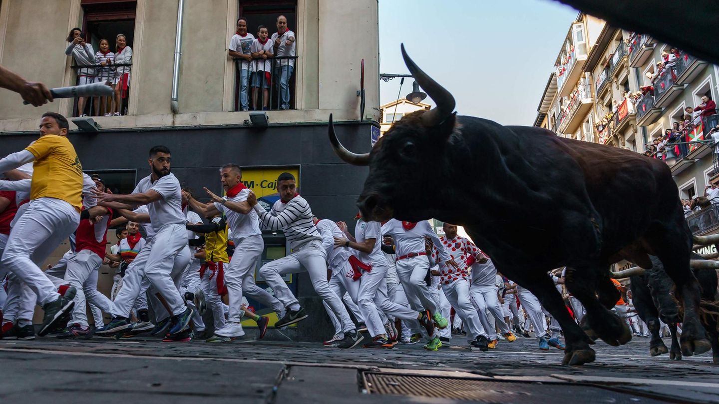 Während des Festes zu Ehren des Heiligen Firmin des Älteren vom 6. bis zum 14. Juli werden am frühen Morgen jeweils sechs Kampfstiere und Leitochsen durch die engen Straßen der nordspanischen Stadt zur Stierkampfarena getrieben.
