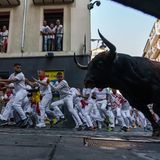 Während des Festes zu Ehren des Heiligen Firmin des Älteren vom 6. bis zum 14. Juli werden am frühen Morgen jeweils sechs Kampfstiere und Leitochsen durch die engen Straßen der nordspanischen Stadt zur Stierkampfarena getrieben.