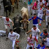 Für die Teilnehmer, die bei der wilden Jagd durch die Gassen versuchen, die Stiere an den Hörnern zu berühren oder ihnen einen Klaps auf den muskulösen Körper zu geben, ist es eine einzige große Mutprobe.