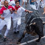 Ursprünglich waren es Kuhhirten, die die Stiere durch die Stadt in die Arena trieben, weil es noch keine anderen Transportmöglichkeiten gab. Daraus entwickelte sich eine traditionelle Hatz, bei der die meist jungen Männer weiße Kleidung und ein rotes Halstuch tragen.