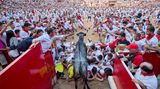 Wenn die Kampfstiere die Arena verlassen haben, um sich am Abend dem tödlichen Sttierkampf zu stellen, werden junge Rinder und Kühe in die Arena getrieben, um sich Katz-undMaus-Spielchen mit den Männer zu liefern. Einige bilden mit ihren Körpern eine Barriere, über die die Tier klettern müssen.