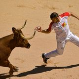 Ein Recortador versucht, einen Ring über das Horn des jungen Stiers zu ziehen